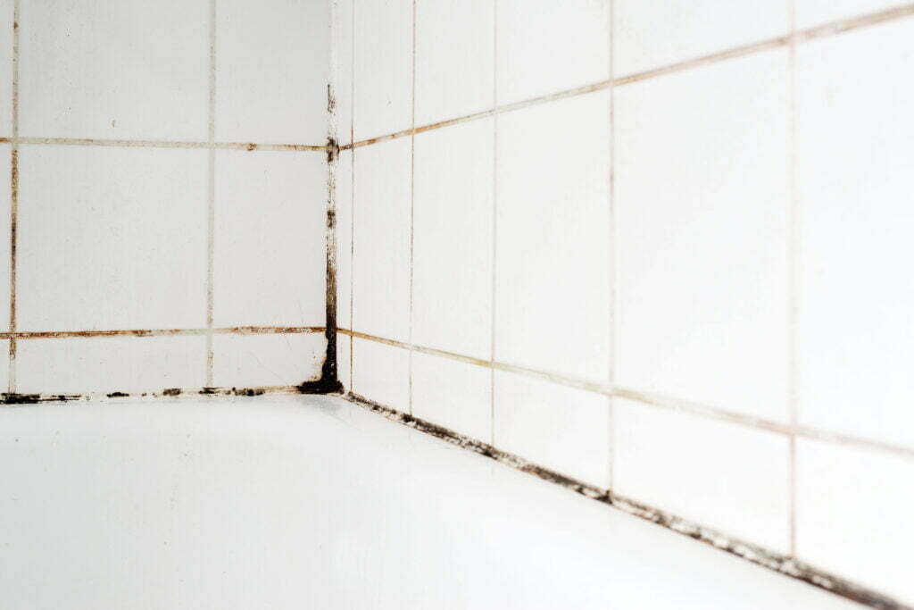 mold in bathroom