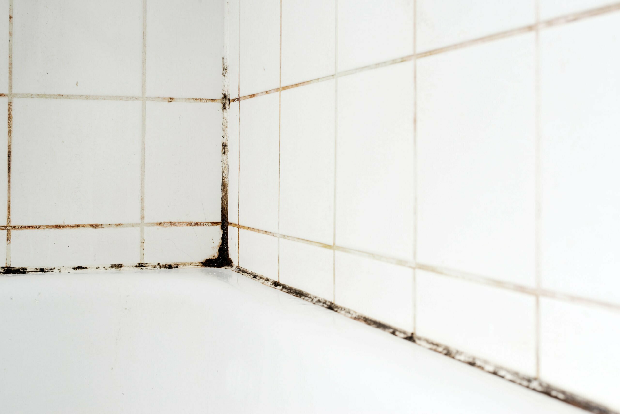 mold in bathroom