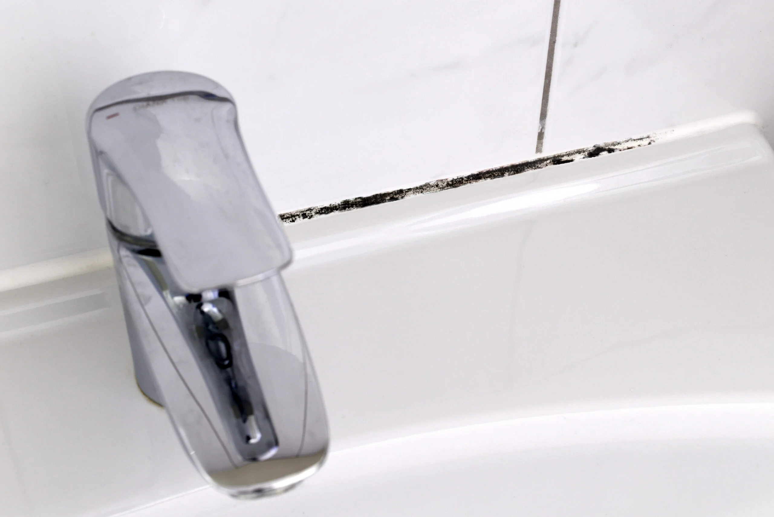 mold in the bathroom