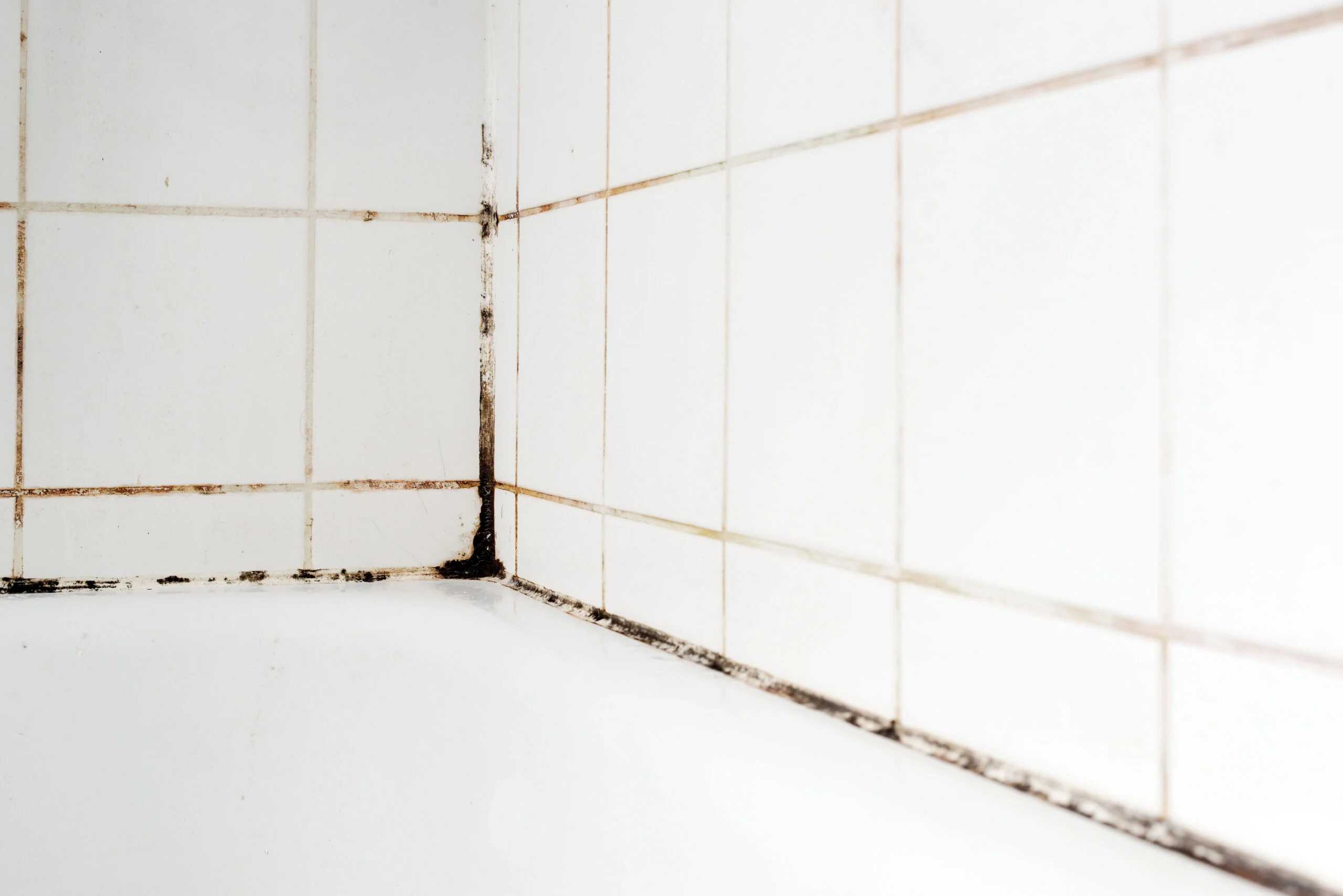 mold in bathroom